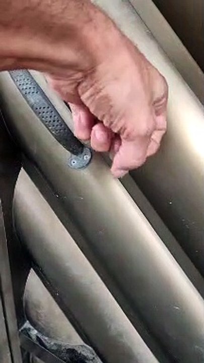 Door Answered by Adorable Dog