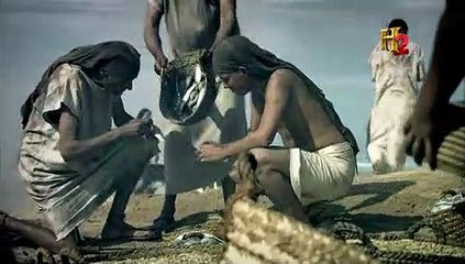 DECODIFICANDO LA HUMANIDAD T1 - 7