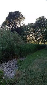 Parc de Fiancey 33 Rte de Grenoble, 38120 Saint-Egrève #France (2)