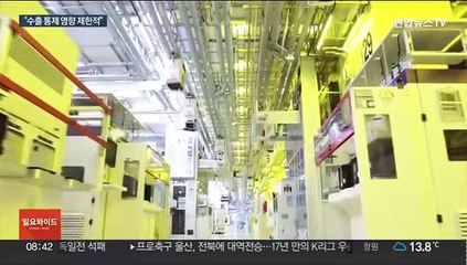 '별도심사'에 한숨 돌렸지만…까다로운 수출 불가피