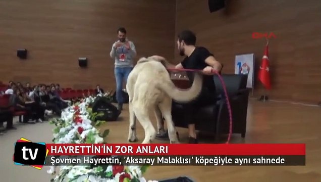 Şovmen Hayrettin'in, 'Aksaray Malaklısı' köpeğiyle sahnede zor sınavı