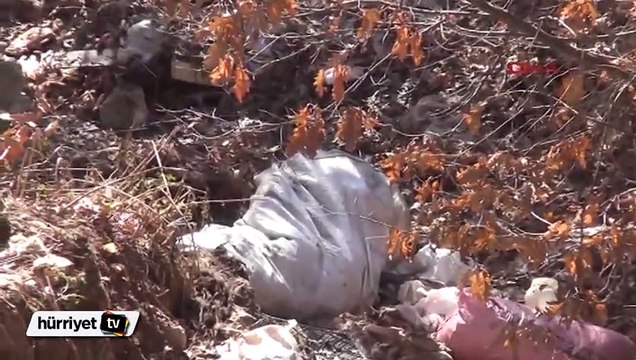 Eşini öldürüp, cesedini sandık içinde ormanlık alana atmış