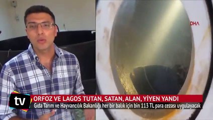 Orfoz ve Lagos tutan, satan, alan, yiyen yandı