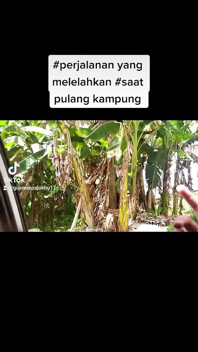 Perjalanan ke kampung halaman.