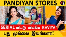 Pandian Stores-ல் புது Mullai இவங்கதானா?  என்ன காரணம்?  *TV