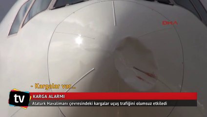 Atatürk Havalimanı'ndan karga alarmı