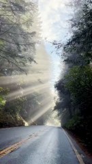 Apple iPhone 14 Camera Testing