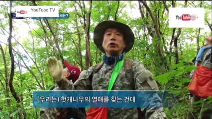 ความลับแห่งเอเชีย ชุด Korea Hunter ตอน ตามล่าหาเห็ดซอกอี
