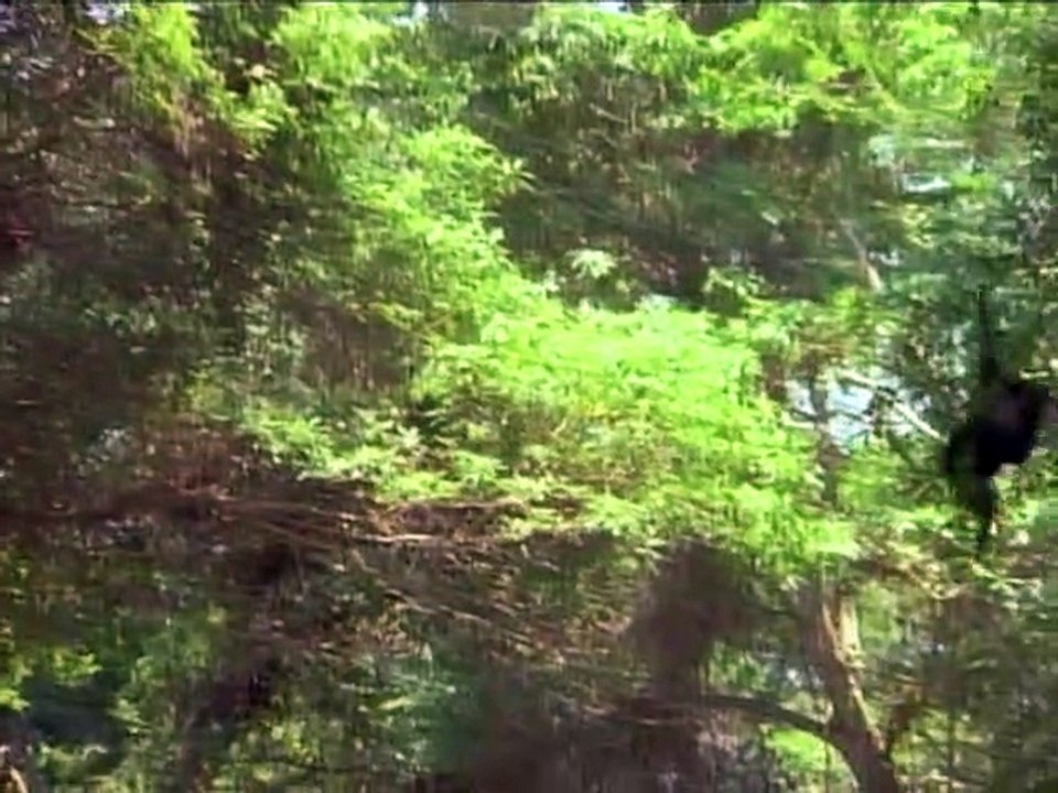 Tarzan (1991) Staffel 3 Folge 11 HD Deutsch