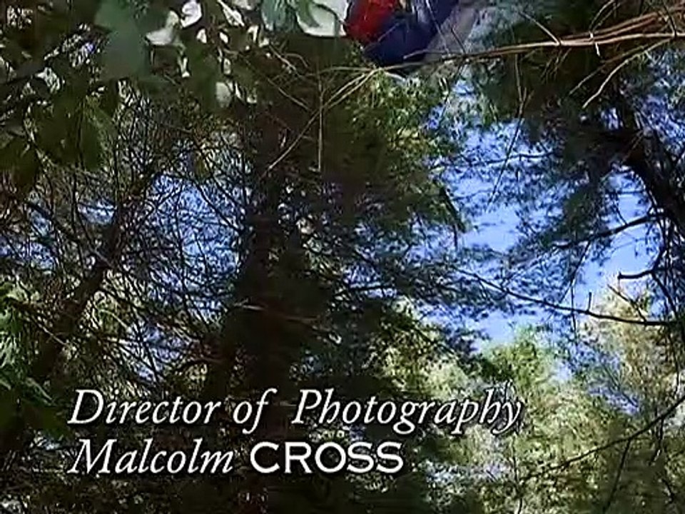 Ein Mountie in Chicago Staffel 2 Folge 6 HD Deutsch