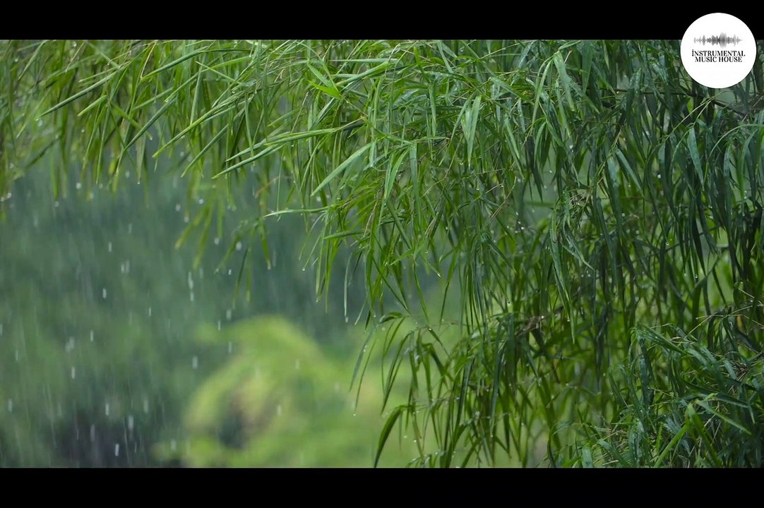 Çalıkuşu Müziği | Enstrümantal Müzik | ♫ ♫ ♫  Duygusal Fon Müziği ♫ ♫ ♫