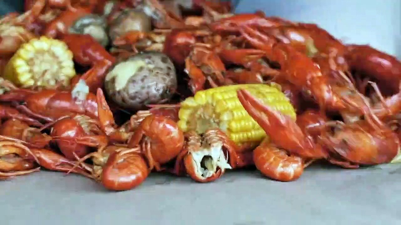 Louisiana Law - Die Wildlife-Ranger Staffel 2 Folge 5 HD Deutsch