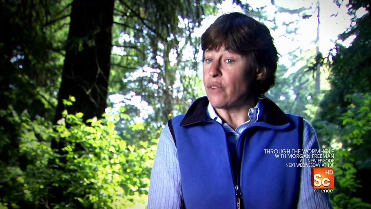 Morgan Freeman Mysterien des Weltalls Staffel 1 Folge 6 HD Deutsch