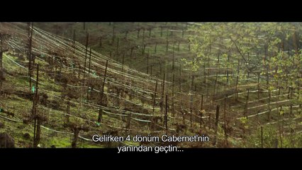 Visions Bande-annonce (TR)