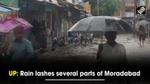 UP: Rain lashes several parts of Moradabad