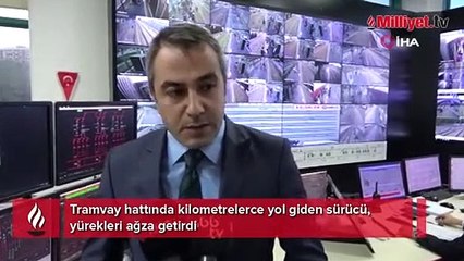 Tramvayın önünde kilometrelerce ilerleyen sürücü yürekleri ağza getirdi