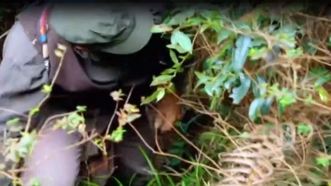 Das Survival-Duo Zwei MäNner, Ein Ziel Staffel 5 Folge 12 HD Deutsch