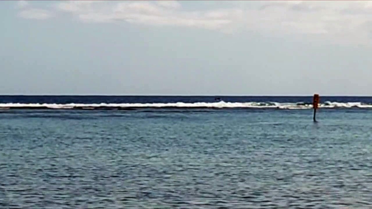 Saline les Bains : Une embarcation trop proche d’une baleine