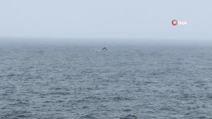 Kocaeli haber! Kocaeli'de tekne alabora oldu: 1 kişi kayıp