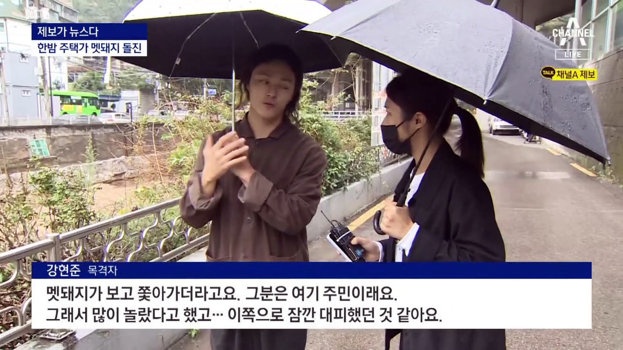 [제보가 뉴스다]한밤 서울 주택가 인근서 멧돼지 돌진
