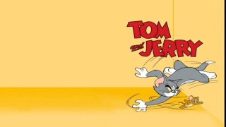 Tom and Jerry cartoon, tom & Jerry cartoons