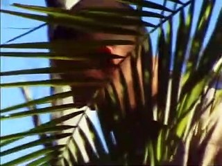 Crocodile Hunter - Ep03 HD Watch HD Deutsch