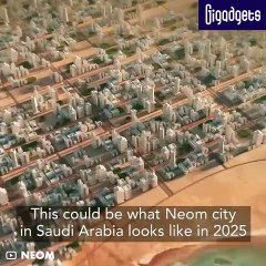 Saudi Arabia the Line one-building city