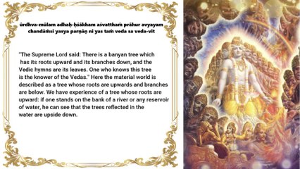 Bhagavad gita As It Is » Bg. 15.1