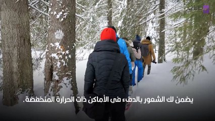 السفر في الشتاء