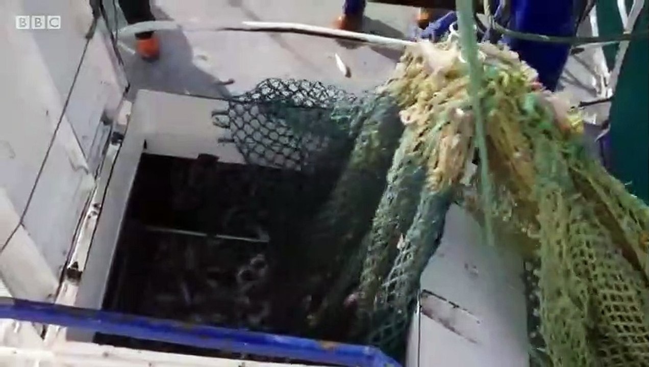 Fish Town - Se1 - Ep01 HD Watch HD Deutsch