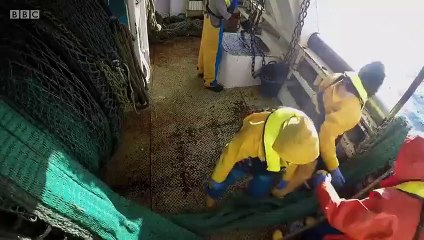 Fish Town - Se1 - Ep02 HD Watch HD Deutsch