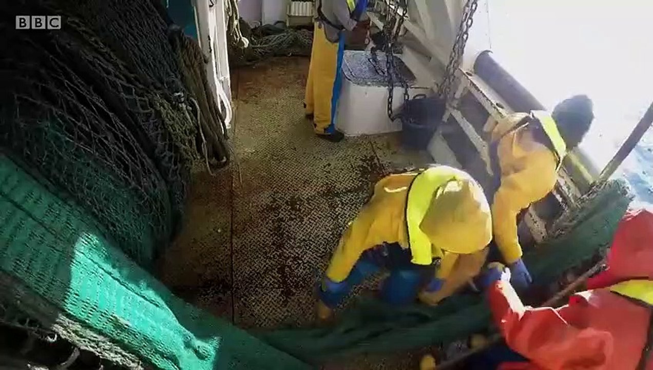 Fish Town - Se1 - Ep02 HD Watch HD Deutsch