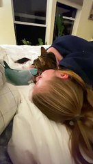 Pretty Parakeet Gets Jealous of  Cat