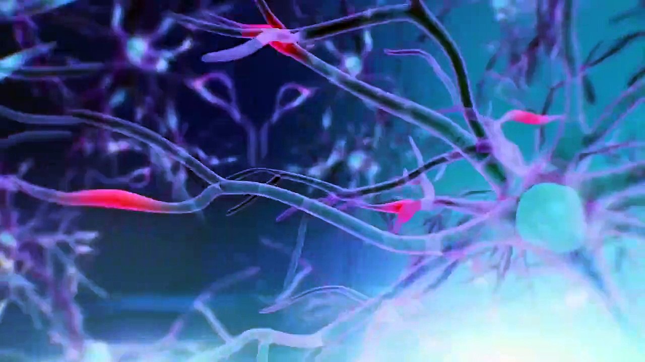 Decker - Se6 - Ep03 - DavidsonCare HD Watch HD Deutsch