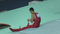 Artistik Cimnastik Dünya Challenge Kupası - Ferhat Arıcan, paralel bar aletinde altın madalya elde etti