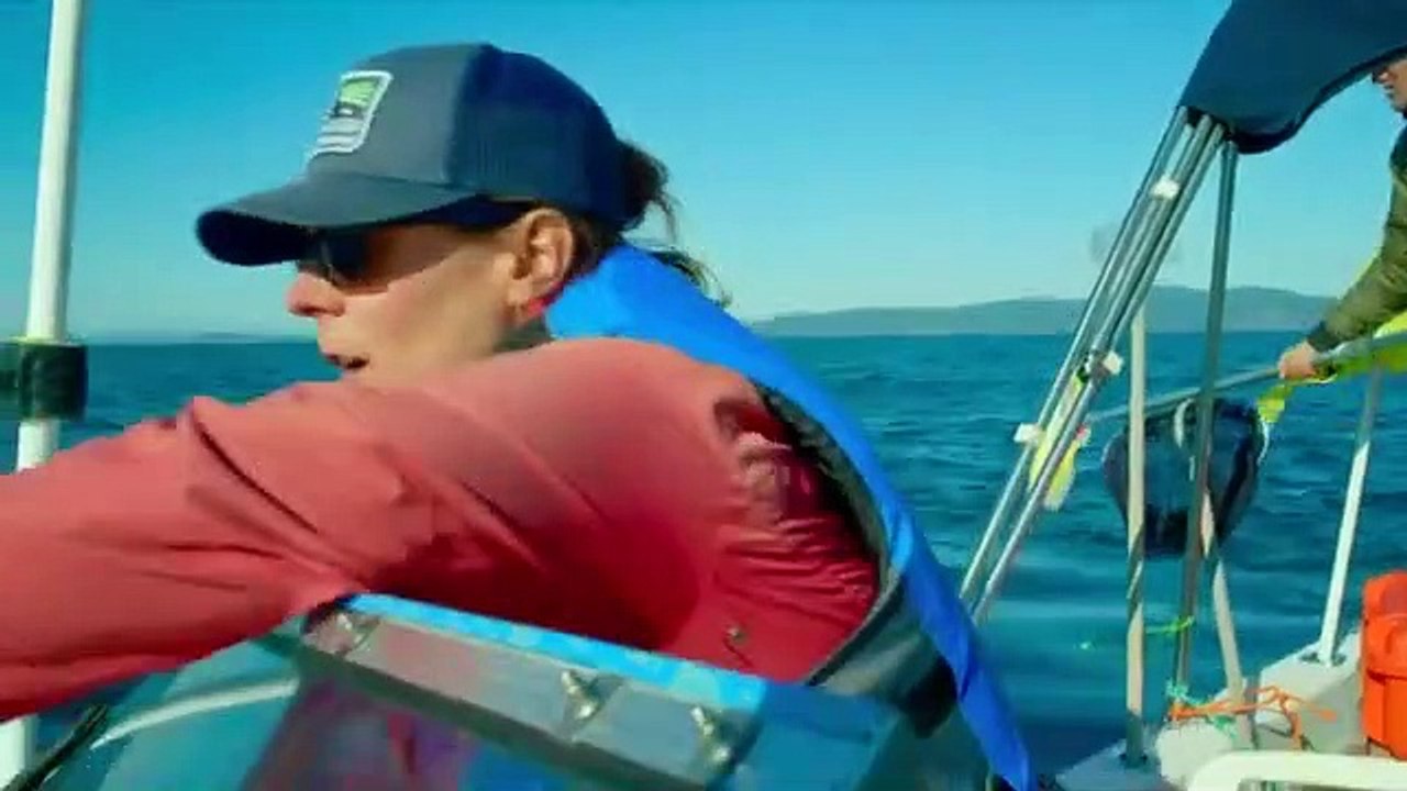 The Age of Nature - Se1 - Ep02 - Understanding HD Watch HD Deutsch