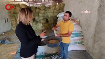 İlay Aksoy: Suriyelileri verilen ücretsiz gıdaları yurttaşlarımız Suriyelilerden satın alıyor