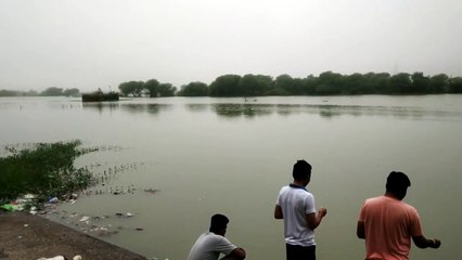 दौसा में रेकॉर्ड तोड़ बारिश, 185 एमएम पानी बरसा