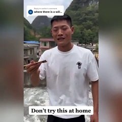 Yaban arısını yemeye çalışan Çinlinin hazin sonu