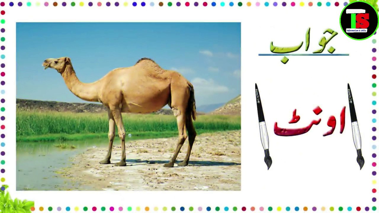 riddles in urdu with answers - urdu paheliyan with answer - paheliyan in hindi with answer