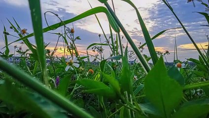 IBU..kini rindu ku tersimpan rapat dalam lipatan mori kain kafan