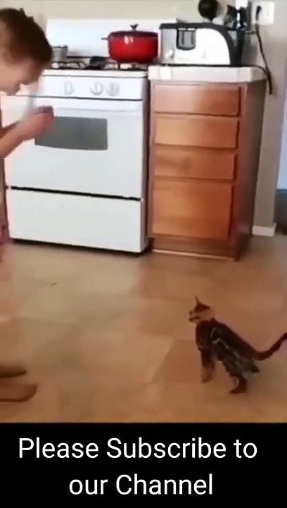 Cat Mimics Owner's Coin Trick    ViralHog #shorts (2)