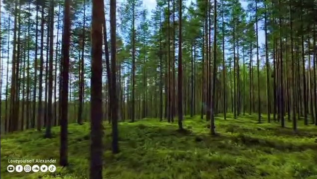 musique de guérison pour le cœur et les vaisseaux sanguins - Musique douce, calme le système nerveux