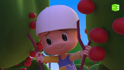 شئ ما غامض في مزرعة الطماطم