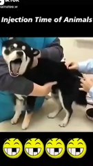 _instagramreelsindia _viral(video0)