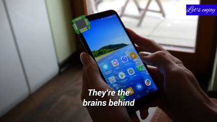 Microchip made technology