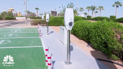استعداداً لاستضافة قمة المناخ .. شرم الشيخ تتحول لمدينة خضراء