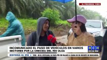 Decenas de familias siguen abandonado las zonas afectadas por el río Ulúa en El Progreso