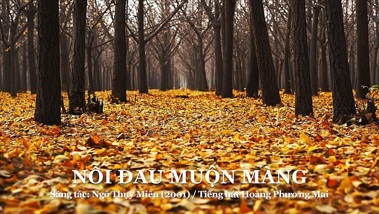 Nỗi đau muộn màng - Ngô Thụy Miên (Tiếng hát Hoàng Phương Mai)