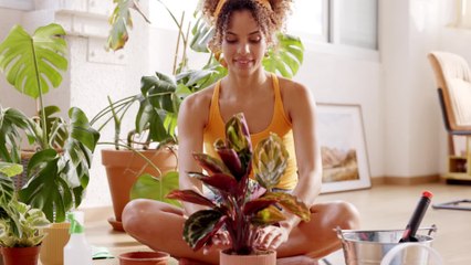 What your favourite hobby reveals about you
